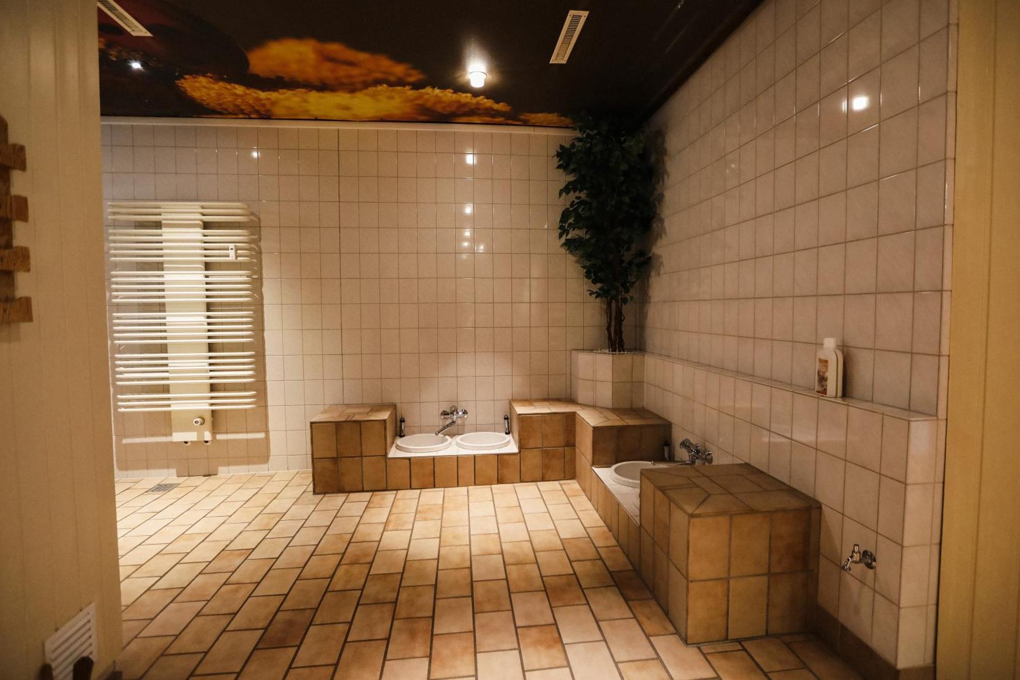 Neu Superior 525, Im Oberharz, Mit Schwimmbad Und Sauna Apartment *