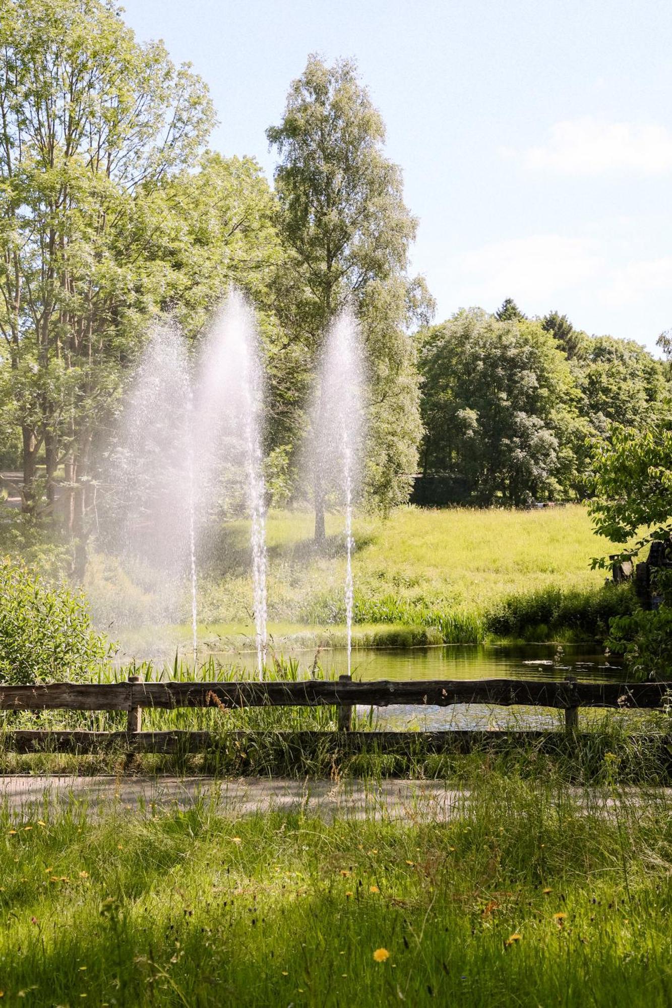 Neu Superior 525, Im Oberharz, Mit Schwimmbad Und Sauna Apartment